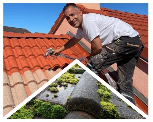 Nettoyage Toiture couvreur carquefou